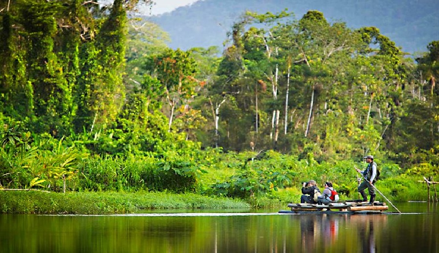 ¡Un paso hacia la conservación! Se aprueba el Plan Maestro del Parque Nacional Manu 2024-2029