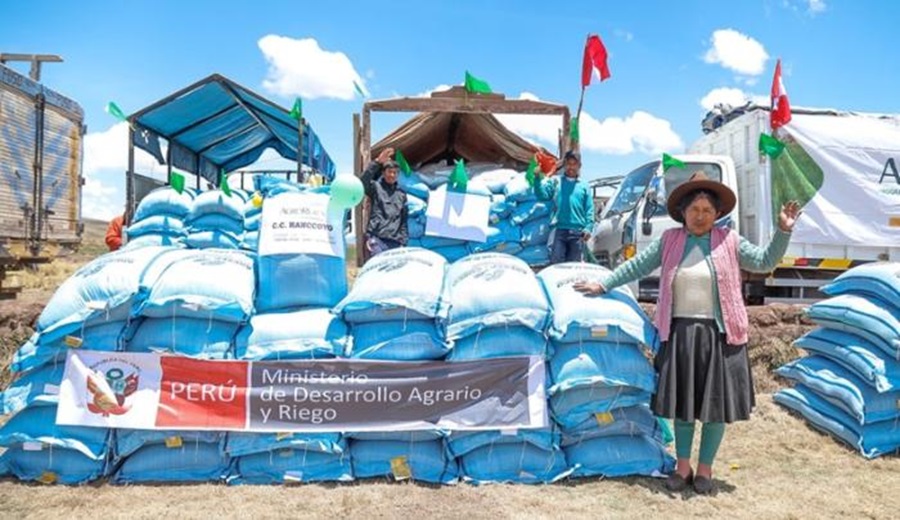 Gobierno pone en marcha Campaña Nacional de Siembra de Pastos y Forrajes 2024 – 2025 para potenciar la ganadería familiar