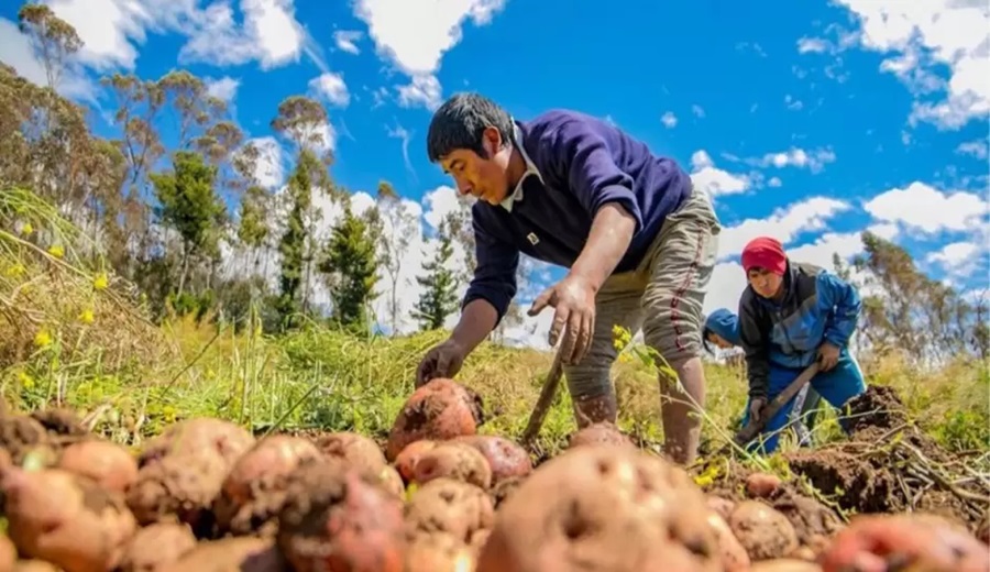 Conveagro se opone a la nueva ley agraria del Congreso por poner en riesgo a la agricultura familiar