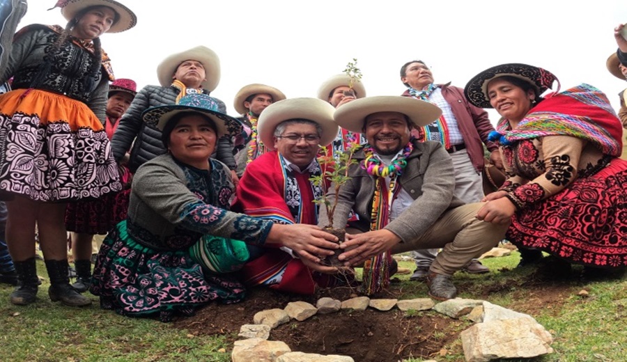 Cusco se llena de esperanza arranca campaña forestal para plantar 100 millones de árboles por el futuro