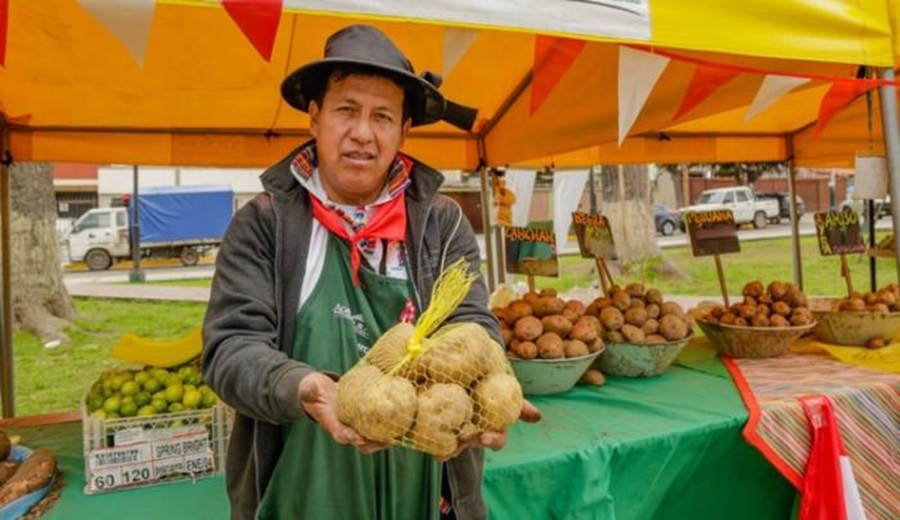 Hoy mayores ofertas de papa, vainita, frijol, naranja, piña, uva y otros en mercados mayoristas