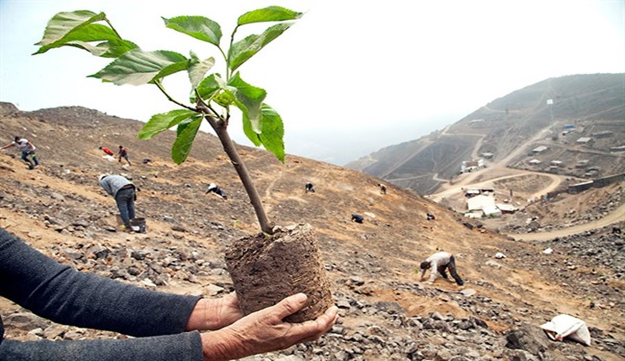 Minam precisa criterios para la compensación ambiental