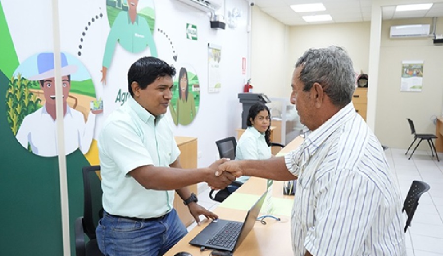 Agrobanco refuerza su apoyo a productores de mango en Lambayeque