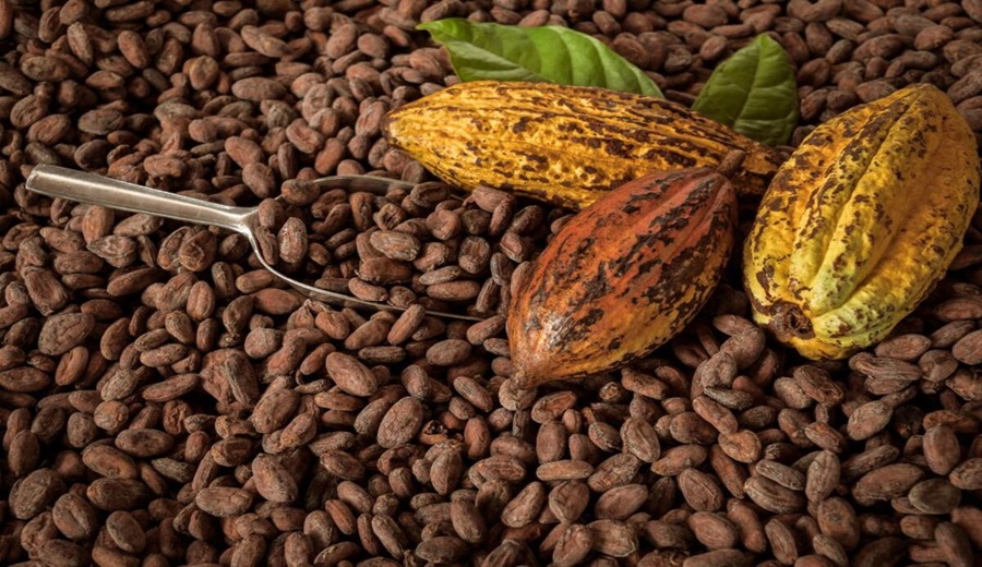 Crecimiento récord en las exportaciones de cacao y café de Perú