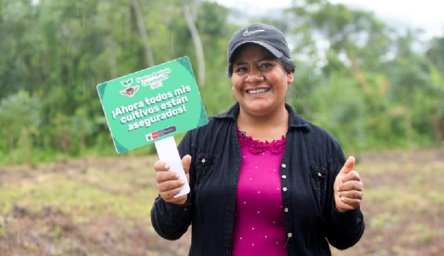 Gobierno activa Seguro Agrícola SAC para atender a productores agropecuarios que puedan ser afectados por lluvias o huaicos