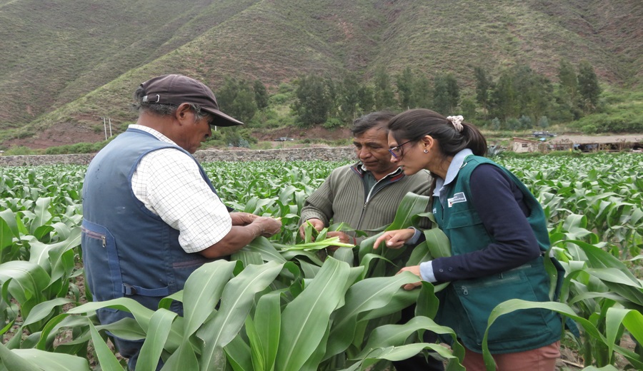 Gobierno dispone acciones inmediatas frente a nevadas y granizadas en Cusco