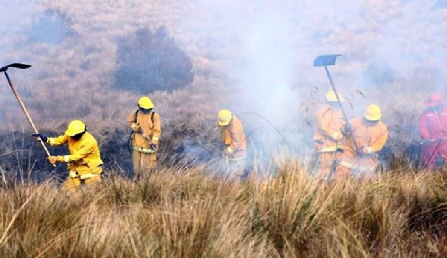 Incendios forestales Gobierno aprueba plan 2025 2027 con medidas preventivas y de respuesta rápida