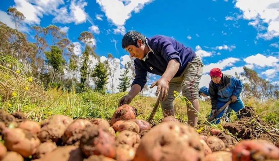 MIDAGRI aprobó el PLANDIAE 2025 en beneficio de más de 2 millones de pequeños y medianos productores