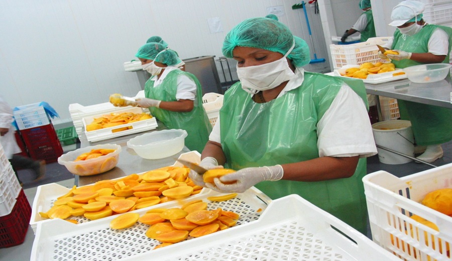 MIDAGRI potencia acciones sectoriales para seguir fortaleciendo la cadena productiva del mango