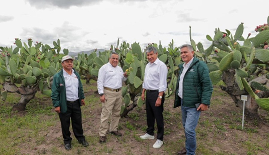 Premier Adrianzén reafirma compromiso del Gobierno para impulsar innovación tecnológica en la agricultura peruana