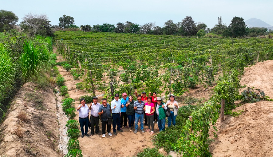 Productores de maracuyá se benefician con escuela de campo en el distrito de Laredo