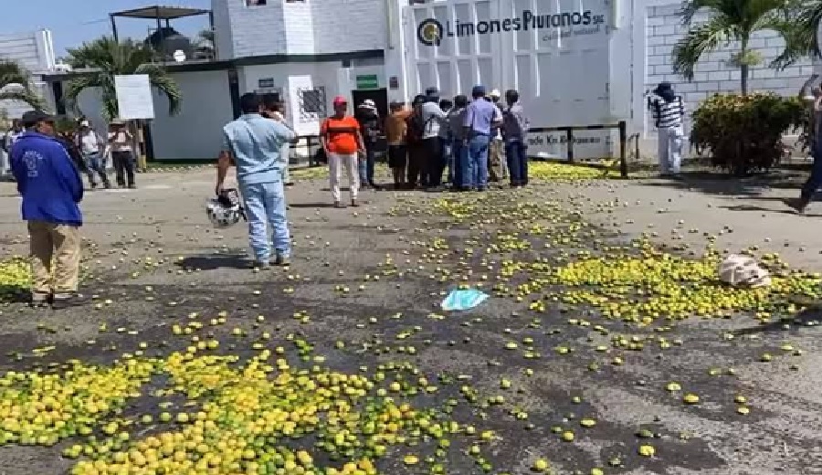 Productores vierten toneladas de limón en carreteras para protestar por los precios bajos