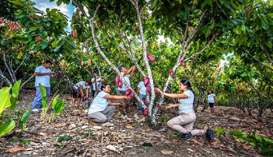 Avanzar Rural se convirtió en un motor de transformación para miles de pequeños productores