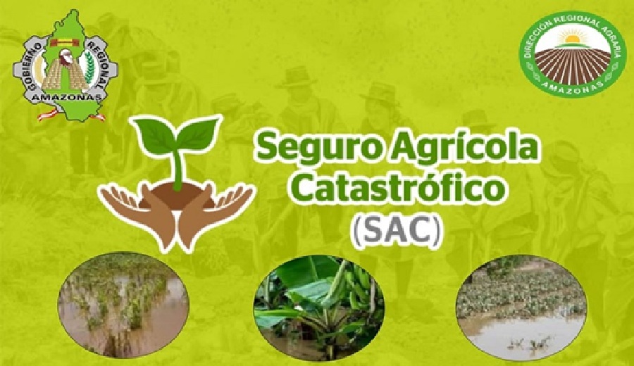 El Seguro Agrícola Catastrófico protege a los productores afectados por lluvias o huaycos