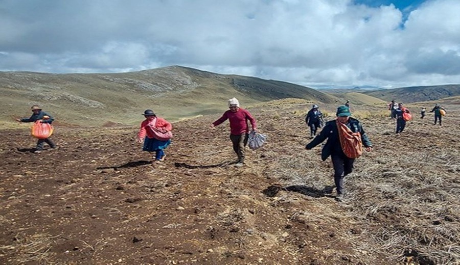 Gobierno destina más de S 18 millones para proyectos agropecuarios a favor de más 17 mil pequeños productores de Huancavelica