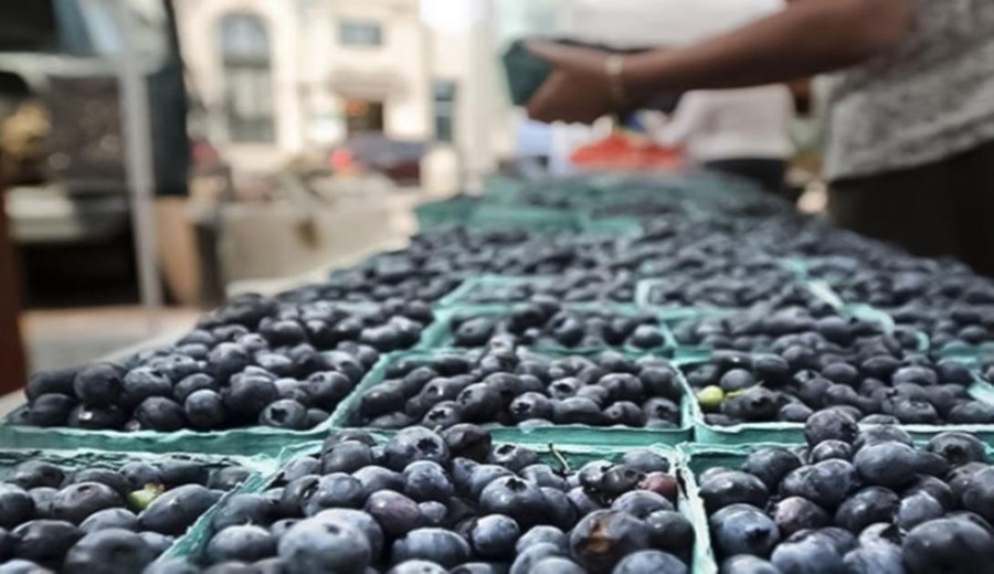 Guerra comercial La agroexportación peruana debe enfocarse en calidad y eficiencia de costos