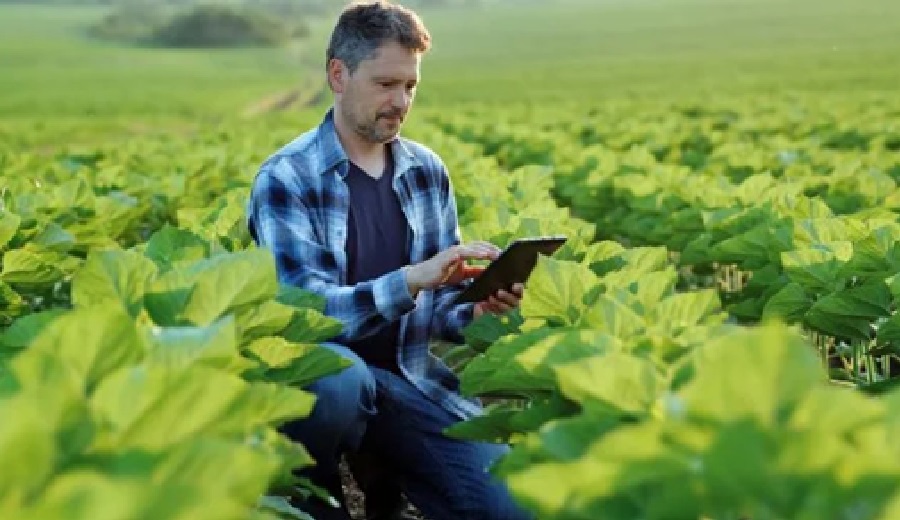 Innovación tecnológica en la agricultura Camino hacia una producción sostenible de alimentos