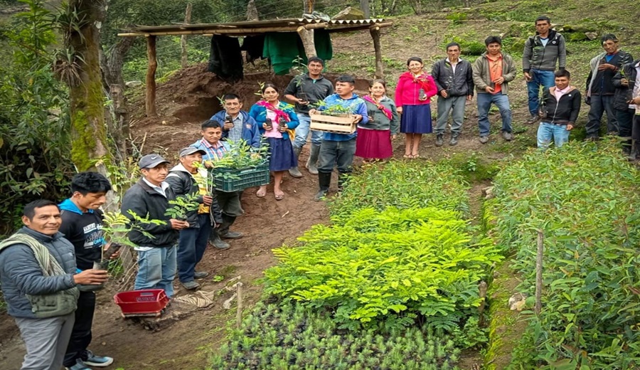 Lambayeque Gobierno ejecutará más de medio millón de soles en actividades para el desarrollo agrario rural