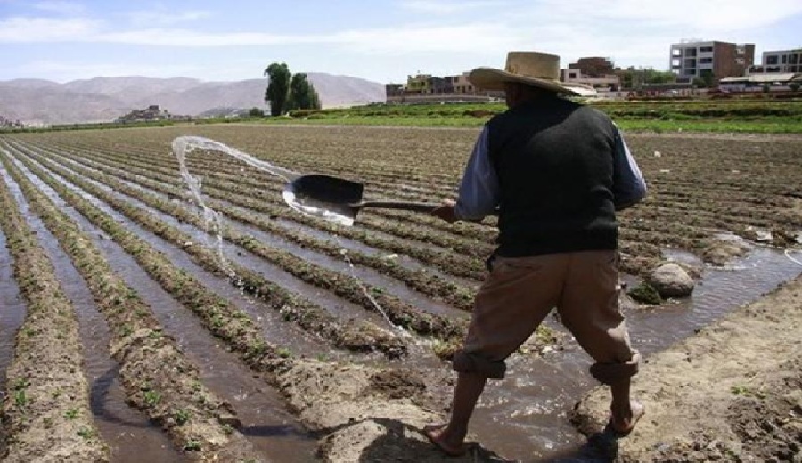 MIDAGRI El 12 de octubre serán las elecciones para los nuevos Consejos Directivos de las Juntas de Usuarios de Agua