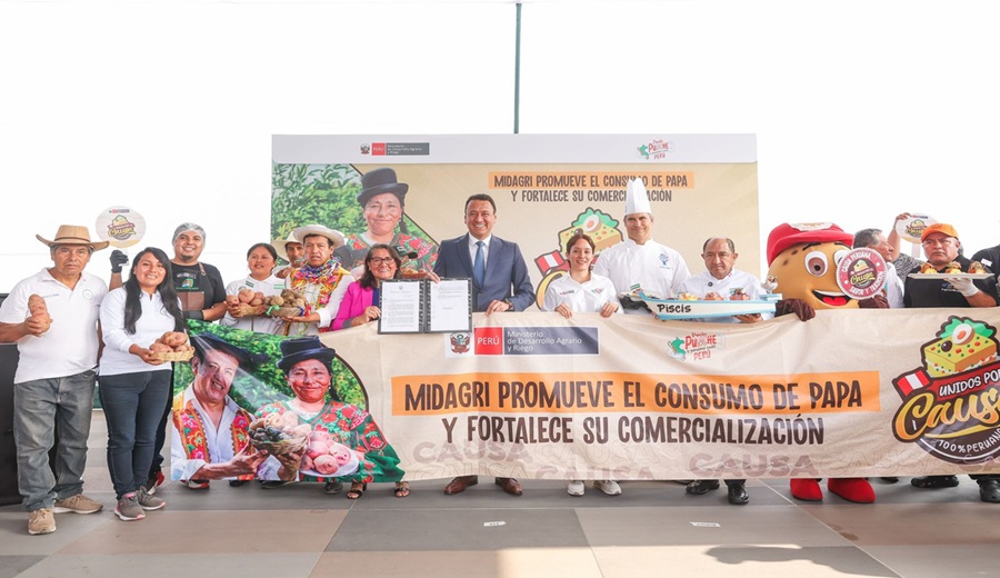 MIDAGRI Lanzamiento de la Semana de la Causa Peruana impulsará economía de productores de papa en 19 regiones del país