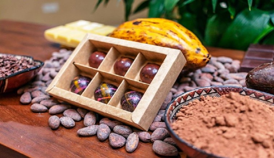 Midagri impulsó el valor comercial del cacao peruano en Chocoa Amsterdam 2025