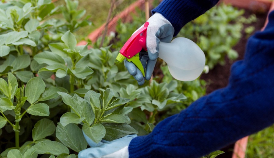 PERÚ COMPRAS estandariza el fertilizante urea para agilizar su compra en el Estado