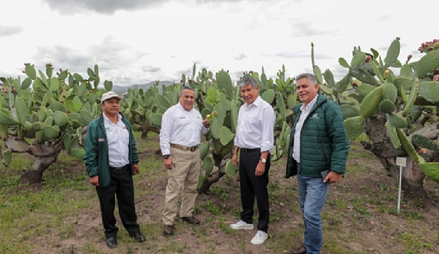 Premier Adrianzén reafirma compromiso del Gobierno para impulsar innovación tecnológica en la agricultura peruana