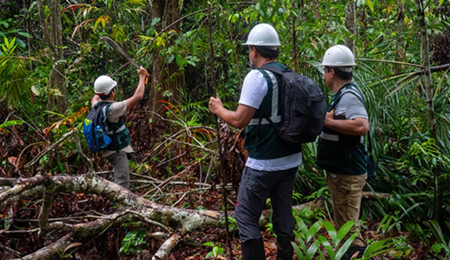 SERFOR Utilidad de la interoperabilidad en el catastro forestal