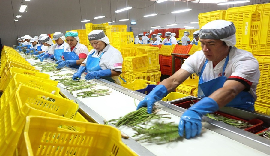 Banco Mundial propone estrategias para el crecimiento sostenible de Perú a través de la diversificación