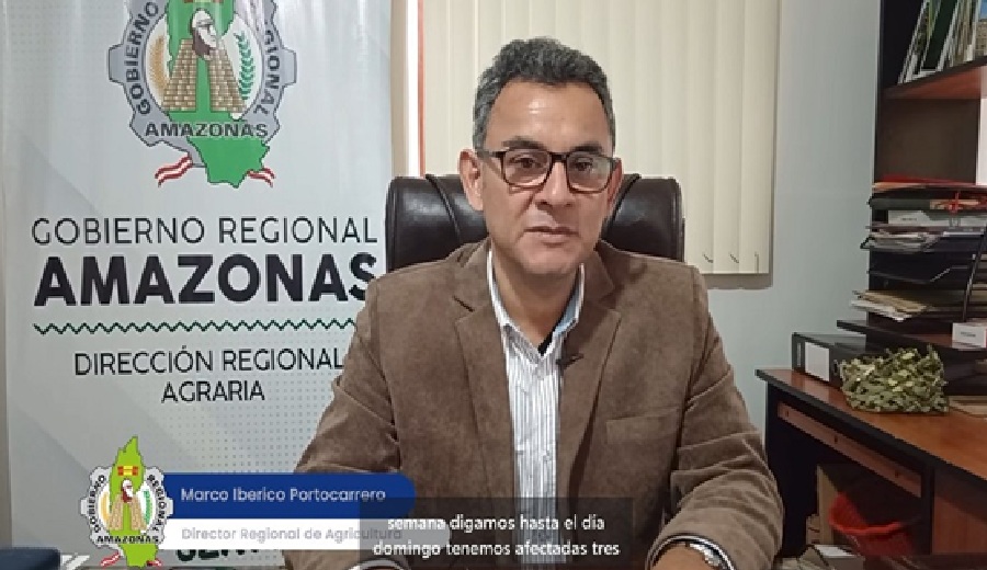 Dirección Regional Agraria reporta más de 3600 hectáreas afectadas y gestiona apoyo para productores