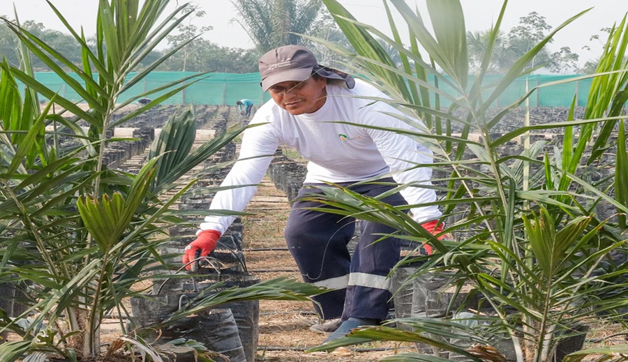 El PBI agrícola de La Libertad alcanza su récord histórico