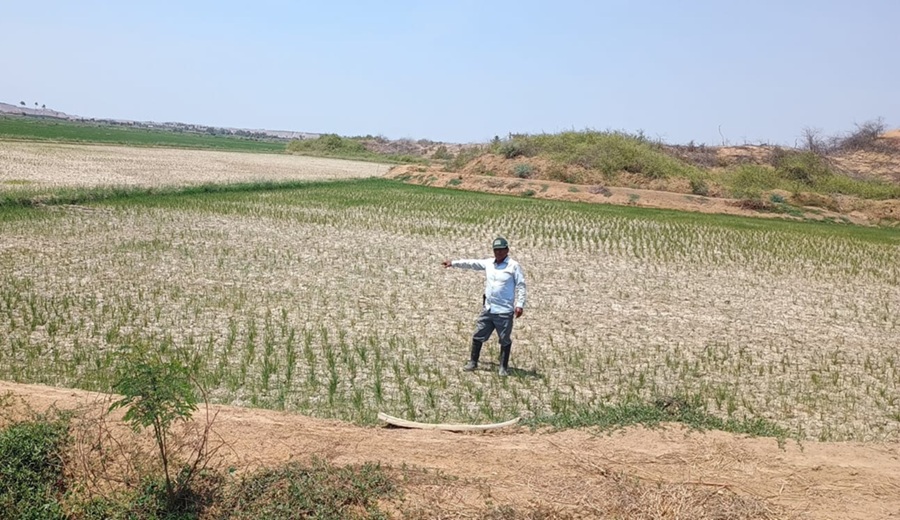 Gestión del gobernador, Luis Neyra, logra pago del seguro agrario para más de 1,800 productores