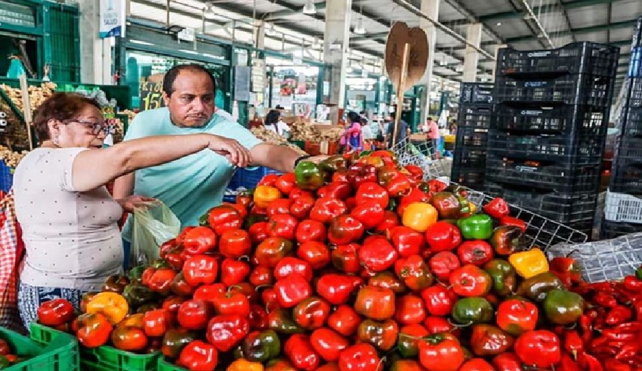 Gran mercado mayorista de Lima registró el ingreso de 9,989 toneladas de productos