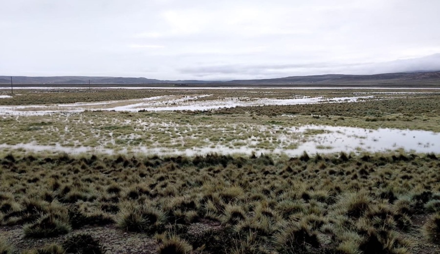 Puno Lluvias e Inundaciones Causan Mayor Impacto en Tierras Agrícolas